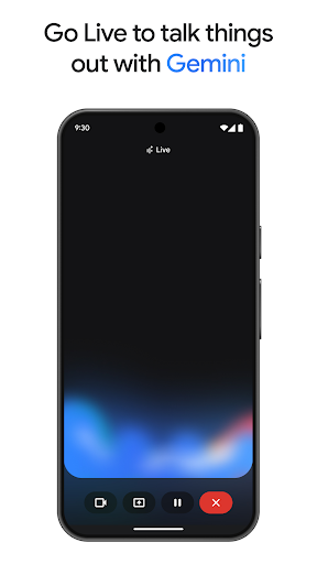 Google Gemini