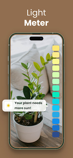 Plantify: AI Plant Identifier
