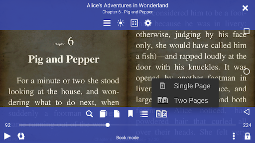 EPUB Reader for all books