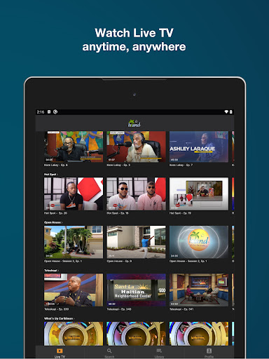 Island TV