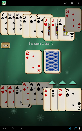 Gin Rummy Pro