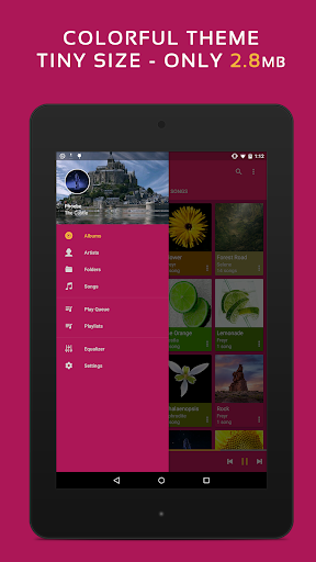 Pulsar Music Player Pro
