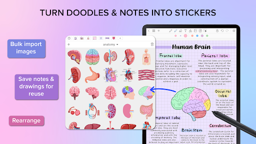 Penly: Digital Planner & Notes