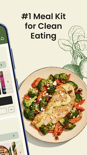 Green Chef: Healthy Meal Kits