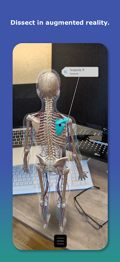 Human Anatomy Atlas 2026