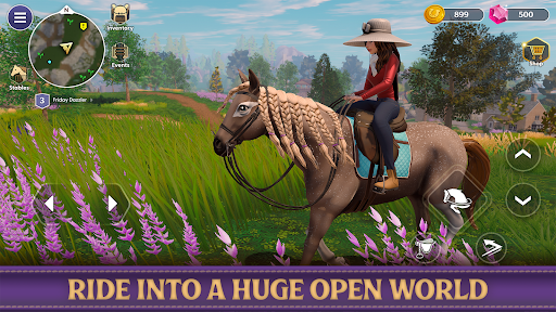 Star Equestrian - Horse Ranch