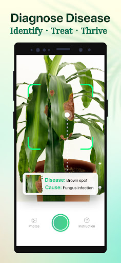 Plant Parent: Plant Care Guide