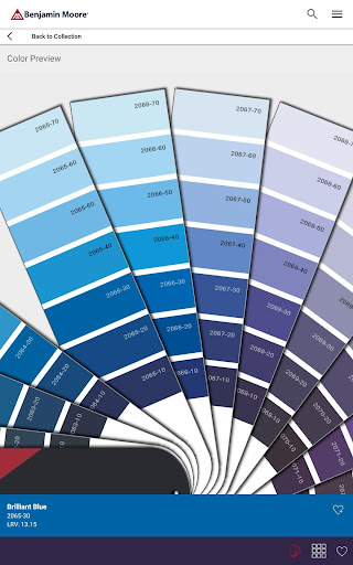 Color Portfolio