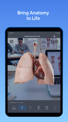 VOKA 3D Anatomy and Physiology