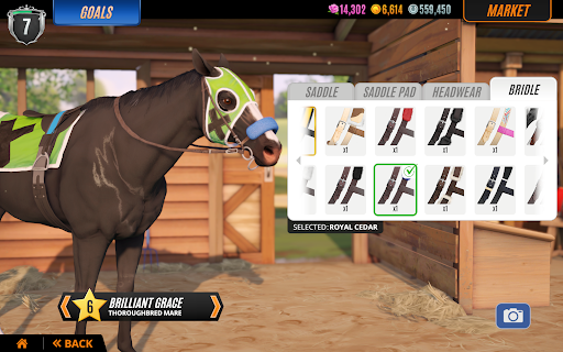 Rival Stars Horse Racing