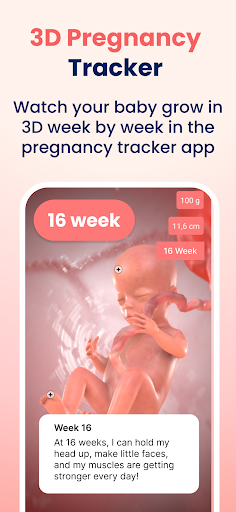 HiMommy: Pregnancy Tracker