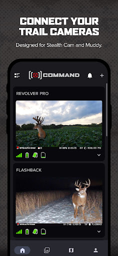 Command