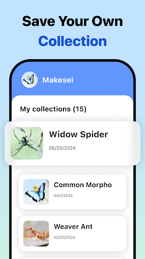 Picture Insect: Bug Identifier