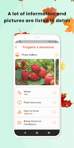 Plant App - Identifier & Care
