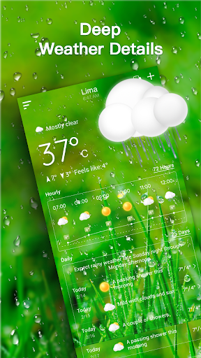 Live Weather Forecast