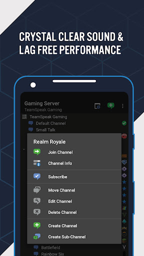 TeamSpeak 3 - Voice Chat