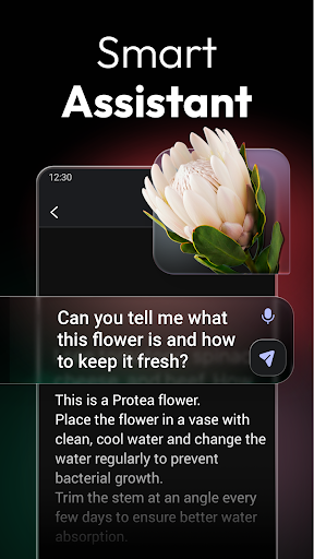 ChatOn - AI Chat Bot Assistant