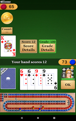 Cribbage Pro Online!