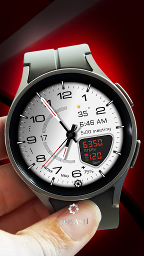 D355 Premium Watch Face