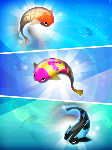 Zen Koi Pro