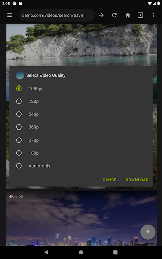 Video Downloader Pro