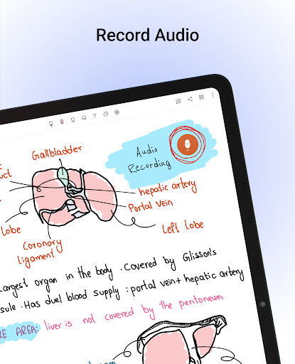 Noteshelf - Notes, Annotations