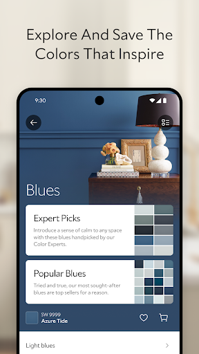 Sherwin-Williams Color Expert™