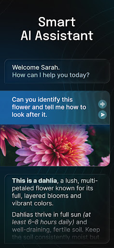AI Chatbot - Nova