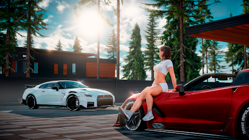 Drive Zone: Car Simulator Game