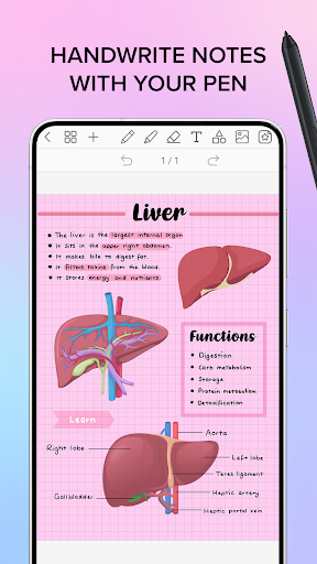 Penly: Digital Planner & Notes