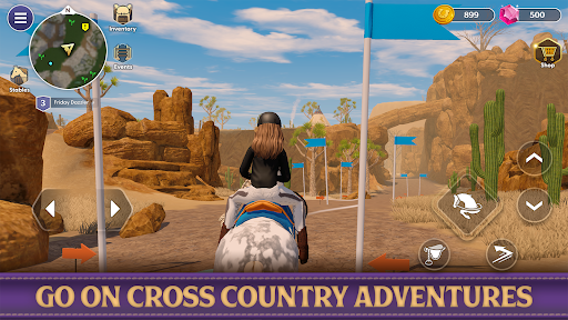Star Equestrian - Horse Ranch