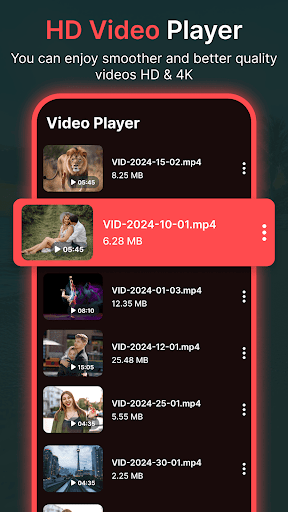 Flivio Video Player All Format