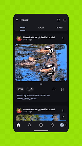 Pixelix - A Pixelfed Client
