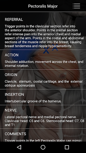 Muscle Trigger Point Anatomy
