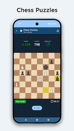 Chess Online & Offline