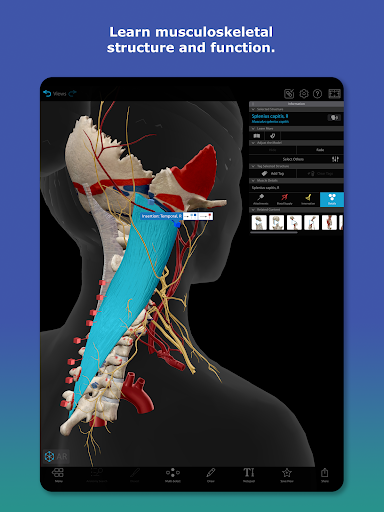 Human Anatomy Atlas 2026