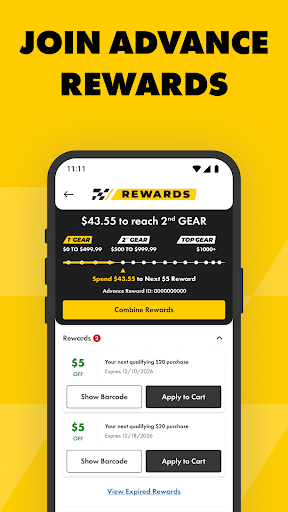 Advance Auto Parts