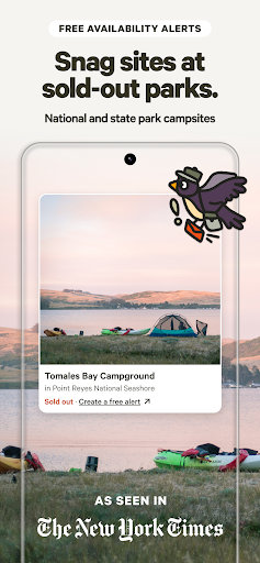 Hipcamp: Camping, RVs & Cabins