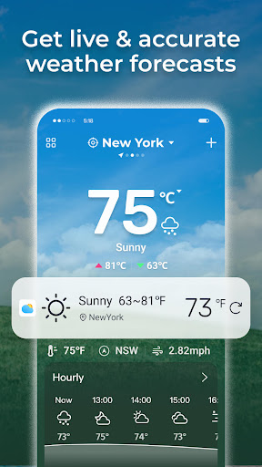 Daily Forecast: Weather&Radar