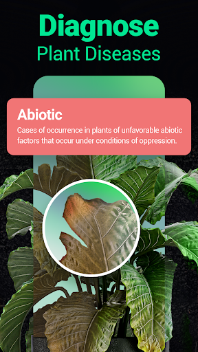 Plantum - Plant Identifier