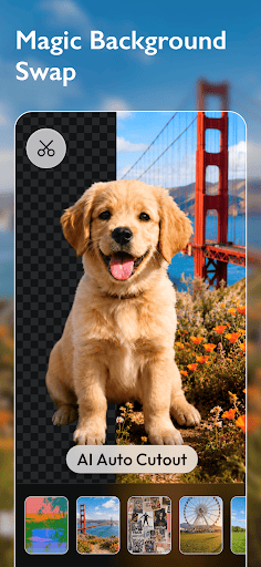 Photo Editor - Polish