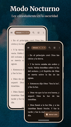 La Biblia en Español