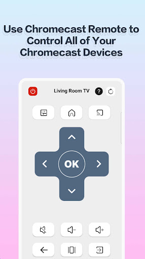 CineToolkit:Caster&Roku Remote