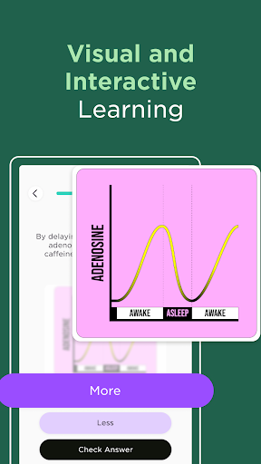 Imprint: Learn Visually