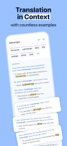 Reverso Translate and Learn