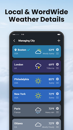 Local Weather: Live Forecast