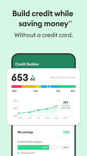 Brigit: Cash Advance & Credit