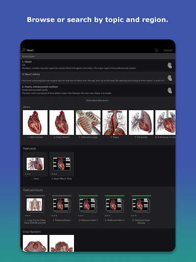 Human Anatomy Atlas 2026