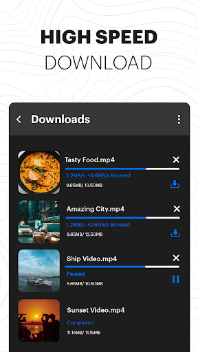 Video Downloader & Launcher