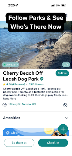 DogPack: Dog Friendly Spots